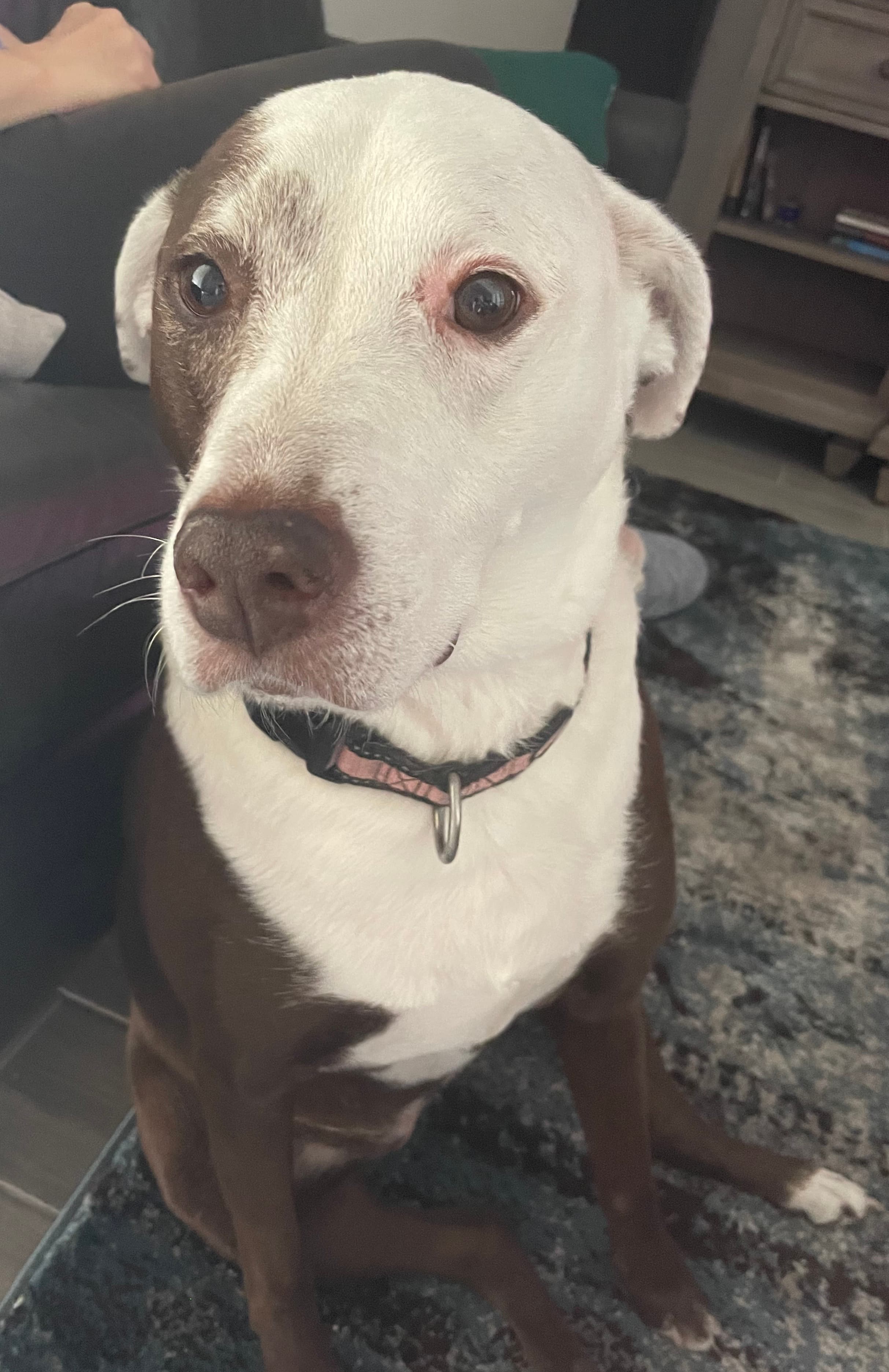 Original photo of Lucy - before AI transformation